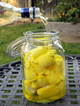 Peeps candy infused vodka. Easy chocolate bunny cocktails. Creative DIY Easter Desserts ideas for families and adults.